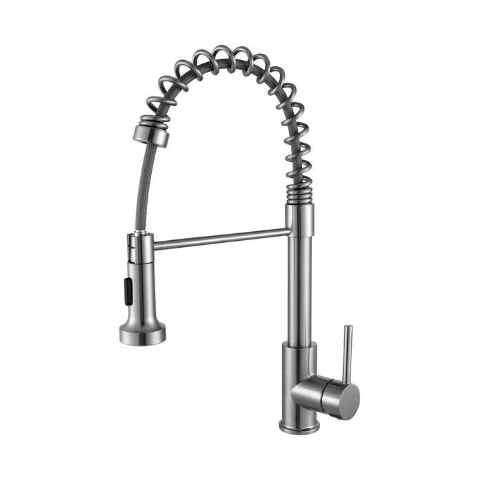 Lanuvio Brass Kitchen Faucet w/ Pull Out Sprayer