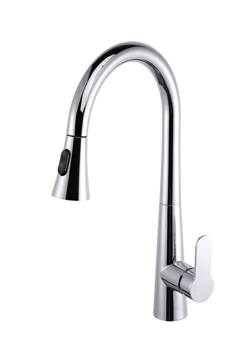 Furio Brass Kitchen Faucet w/ Pull Out Sprayer