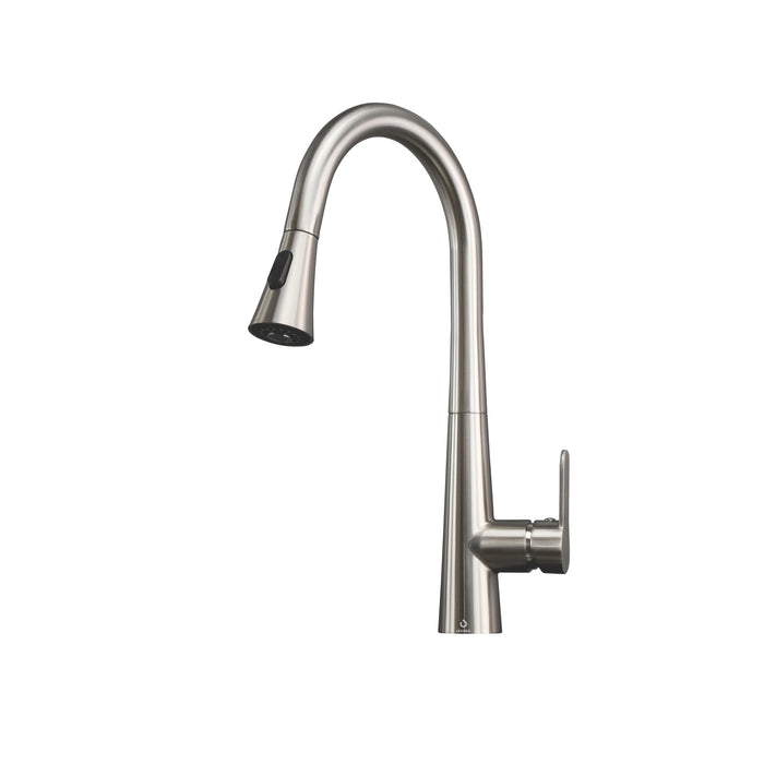 Furio Brass Kitchen Faucet w/ Pull Out Sprayer